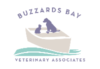 Gay Friendly Business Buzzards Bay Veterinary Associates in Buzzards Bay MA